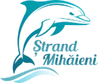 My Website